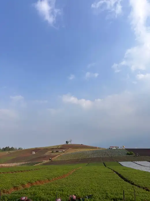 Panorama Bukit Jengkoang 1