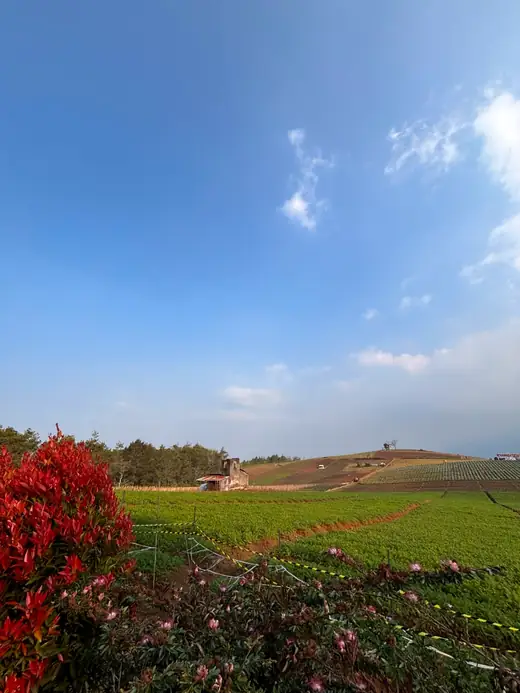 Panorama Bukit Jengkoang 3