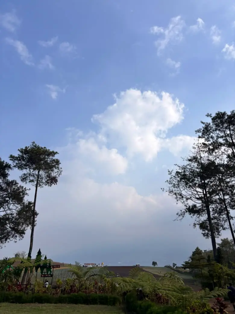 Pepohonan dan bukit di kawasan Bukit Jengkoang