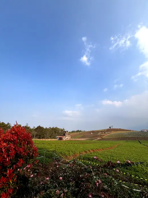 Panorama Bukit Jengkoang 6