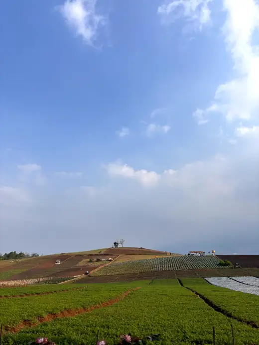 Panorama Bukit Jengkoang 8